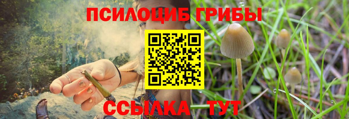 Галлюциногенные грибы MAGIC MUSHROOMS Гусь-Хрустальный