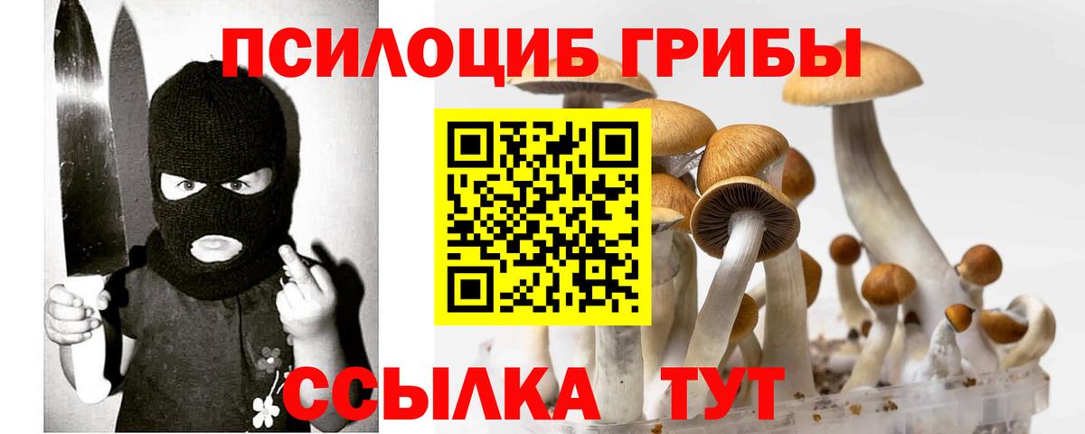 Гусь-Хрустальный  Галлюциногенные грибы Magic Shrooms  Галлюциногенные грибы GOLDEN TEACHER  Вход с VPN 
